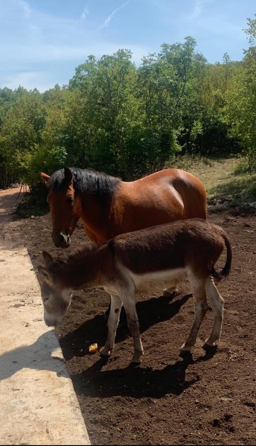 Hotel Etno Selo Montegoat à Nikšić Extérieur photo